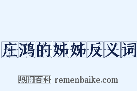 庄鸿的姊姊反义词是什么意思的图片
